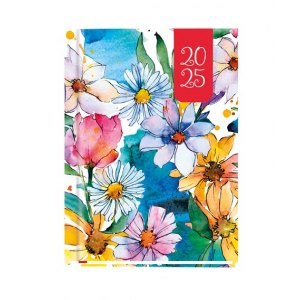 Terminarz Ola, A6, T-212F-03