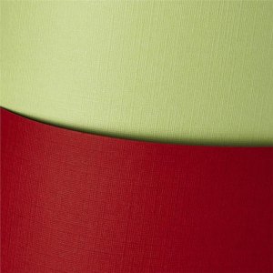 PAPIER WIZYT&Oacute;WKOWY A4 220G A20 HOLLAND CZERWONY