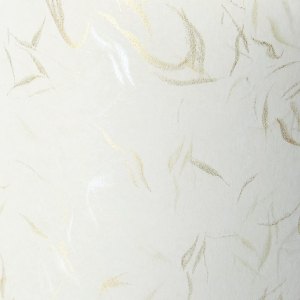 PAPIER WIZYT&Oacute;WKOWY A4 230G A20 WIATR