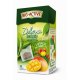 HERBATA ZIELONA, OPUNCJA Z MANGO BIG-ACTIVE T20