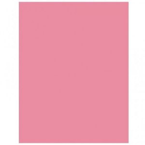 KARTON HAPPY B2/220G JASNOR&Oacute;ŻOWY