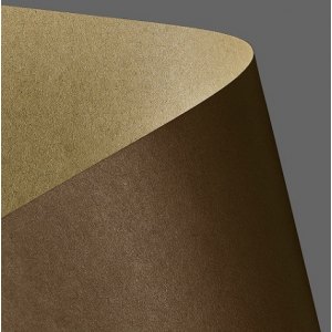 PAPIER WIZYTÓWKOWY A4 275G A20 KRAFT BRĄZOWY