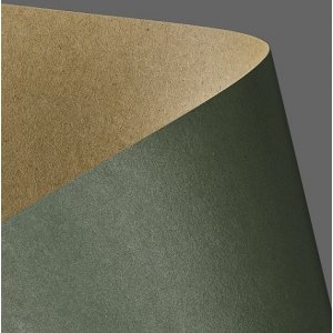 PAPIER WIZYT&Oacute;WKOWY A4 275G A20 KRAFT ZIELONY
