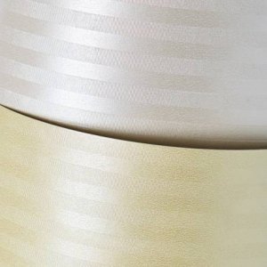 PAPIER WIZYT&Oacute;WKOWY A4 220G A20 BALI PERŁOWY