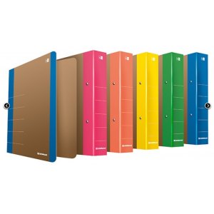 SEGREGATOR RINGOWY DONAU LIFE, A4/2RD/50MM, ZIELONY