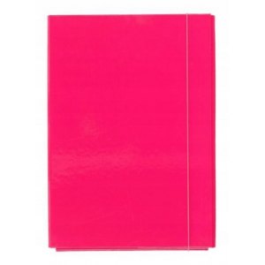 TECZKA SKRZYDŁOWA Z GUMKĄ A4/2CM, R&Oacute;ŻOWA