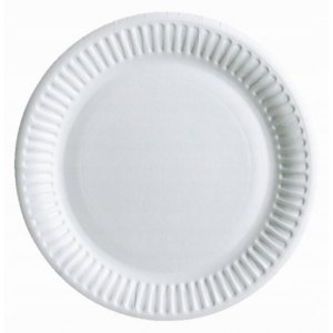 TALERZ PAPIEROWY 24CM 100 SZTUK