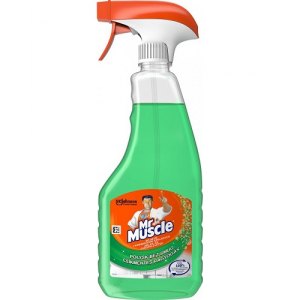 PŁYN DO SZYB MR MUSCLE 500ML