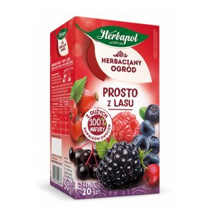 HERBATA HERBAPOL HERBACIANY OGR&Oacute;D T20 PROSTO Z LASU