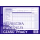 Miesięczna ewidencja czasu pracy